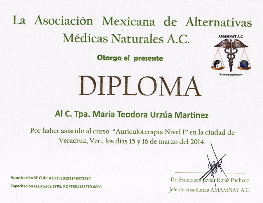 Diploma de ejemplo